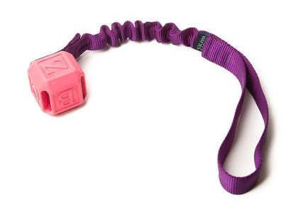 Bungee Protostar Rose