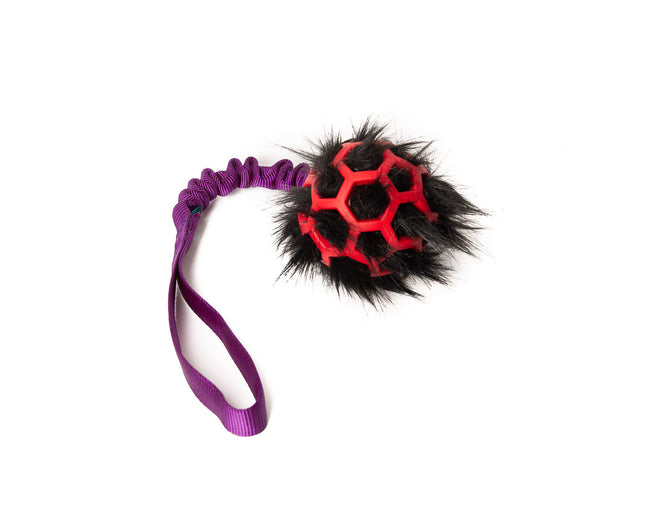 Bungee Purple - Hol-EE Roller Red S - FUR