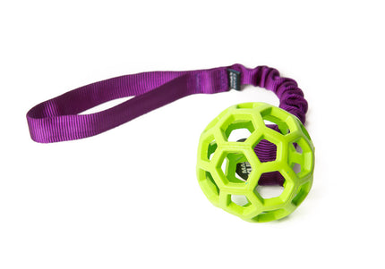 Bungee Purple - Hol-EE Roller Green S