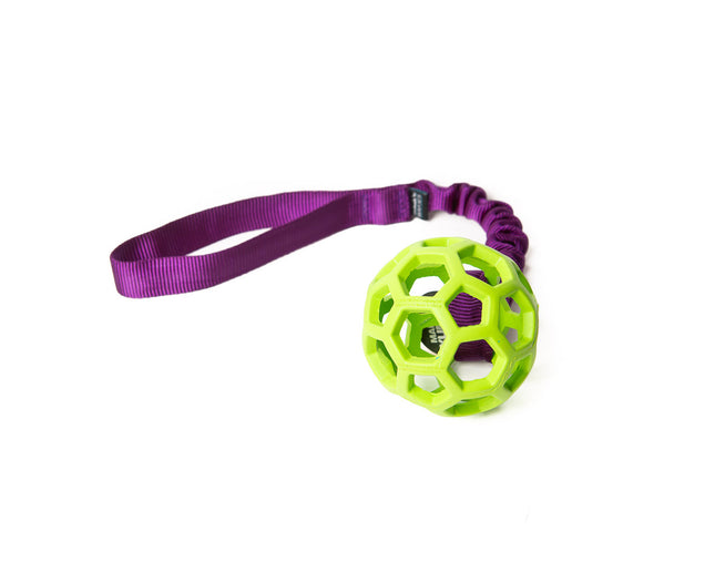 Bungee Purple - Hol-EE Roller Green S