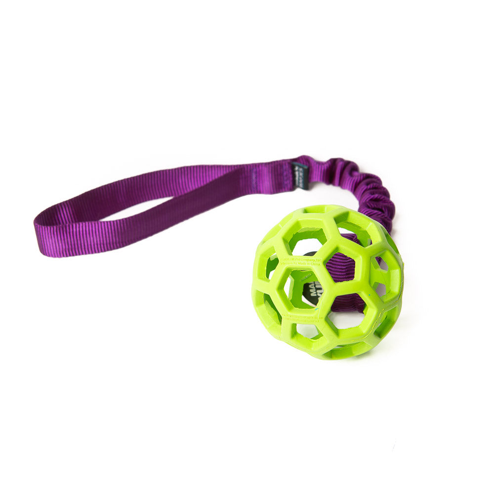 Bungee Purple - Hol-EE Roller Green S