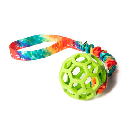 Bungee Rainbow - Hol-EE Roller Green S