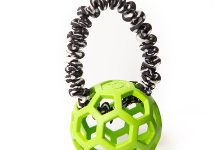 Bungee-Ring Zebra - Hol-EE Roller Vert M