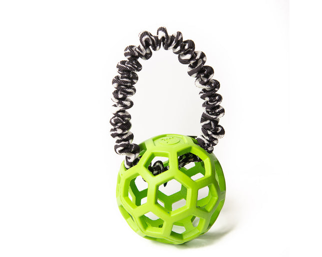 Bungee-Ring Zebra - Hol-EE Roller Green M
