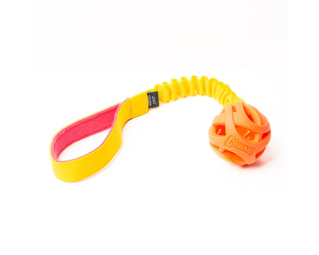 Chuckit! Fetch Ball M met bungee