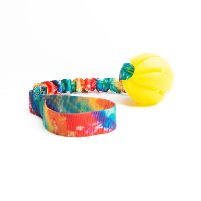 Bungee Rainbow Spiral | Yellow