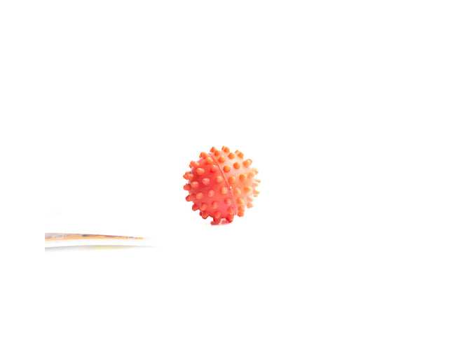 Spine Ball - XS