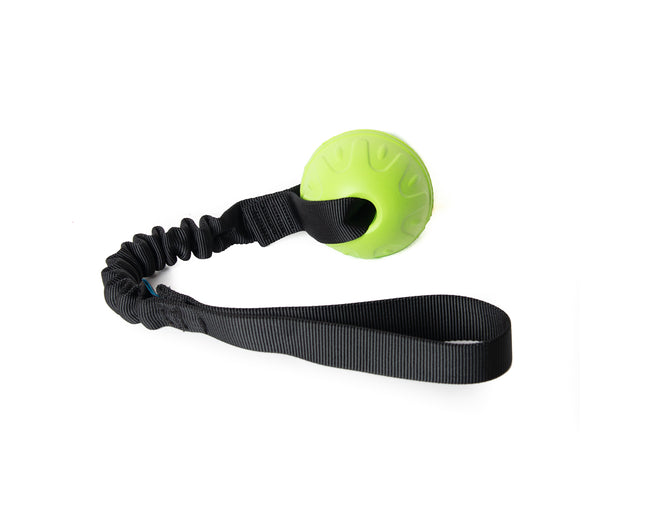 Bungee Black Vortex Green