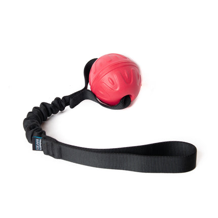 Collection image for: Jouets pour chiens