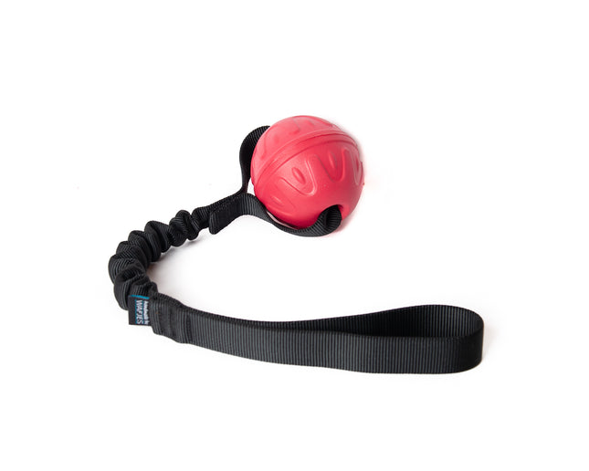 Bungee Black Vortex Pink