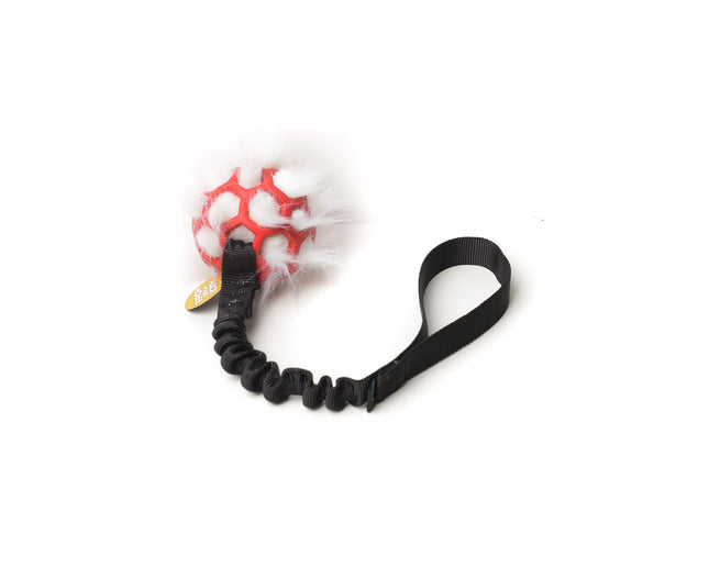Bungee Black - Hol-EE Roller Red S - wh-FUR