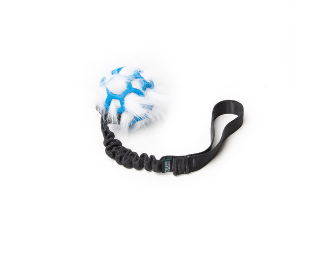 Bungee Black - Hol-EE Roller Blue S - wh-FUR