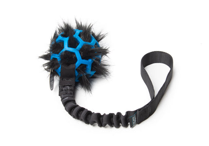 Bungee Black - Hol-EE Roller Blue S -BL-FUR