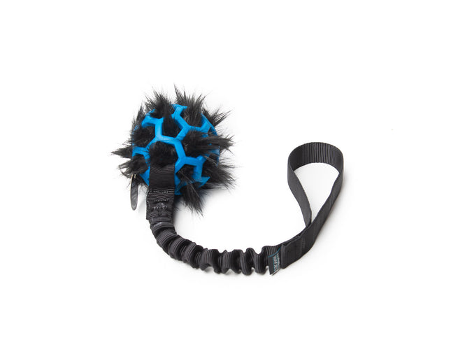 Bungee Noir - Hol-EE Roller Bleu S - FOURRURE