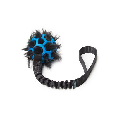 Bungee Black - Hol-EE Roller Blue S -BL-FUR