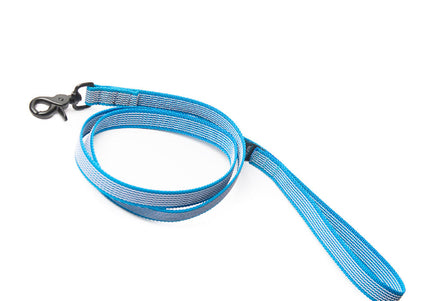 Easy Leash