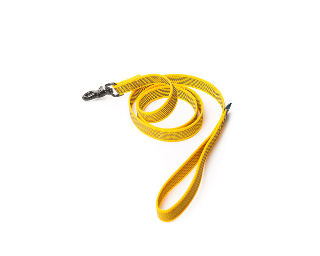 Easy Leash