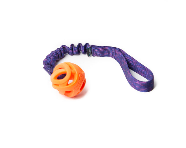 Bungee Waves - Fetch