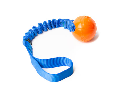 Bungee Blue - Strato M