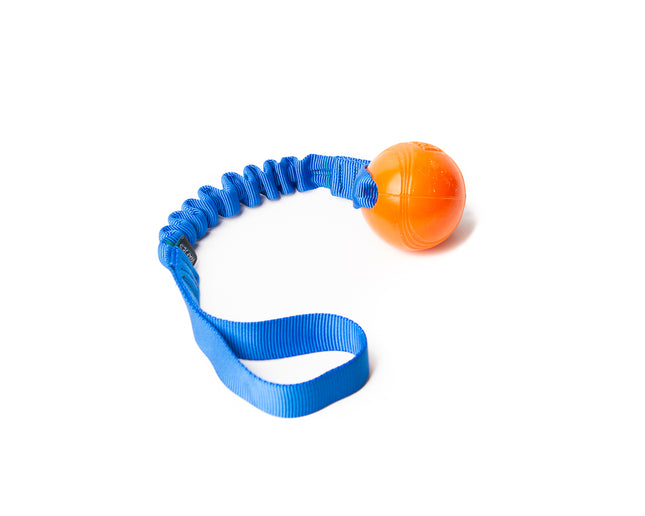 Bungee Blue - Strato M