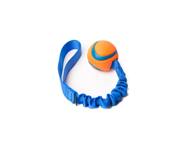 Bungee Blue - Max Ultra M