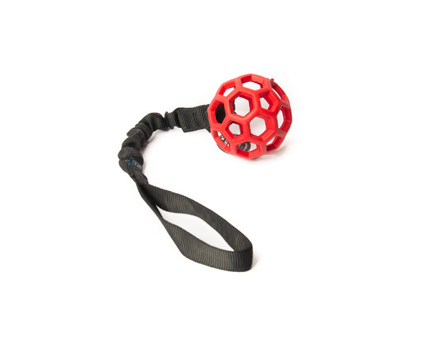 Bungee Black Roller Red S