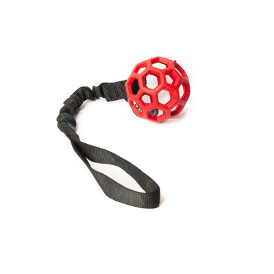 Bungee Black Roller Red S