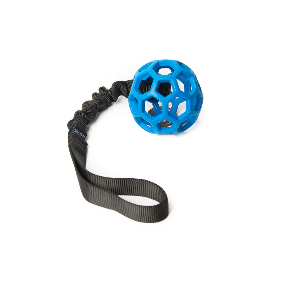 Bungee Black Roller Blue S