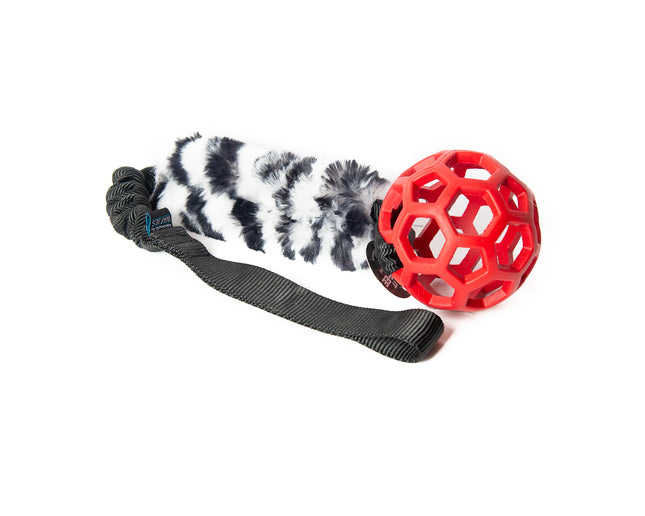 Bungee Black - Hol-EE Roller Red S - Zebra-FUR