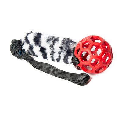 Bungee Black - Hol-EE Roller Red S - Zebra-FUR