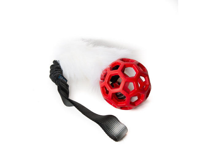 Bungee Black - Hol-EE Roller Red S - White-FUR