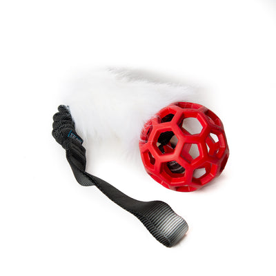 Bungee Black - Hol-EE Roller Red S - White-FUR