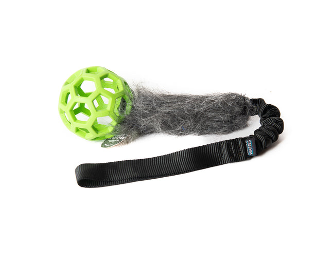 Bungee Black - Hol-EE Roller Green S - Grey-FUR