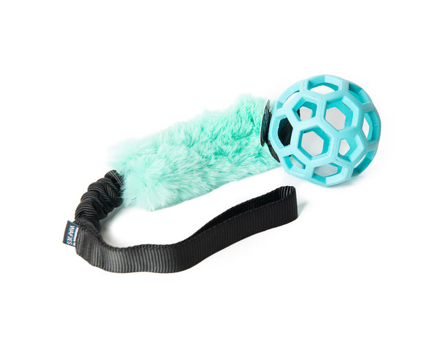 Bungee Black - Hol-EE Roller LBlue S - Mint-FUR