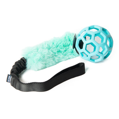 Bungee Black - Hol-EE Roller LBlue S - Mint-FUR