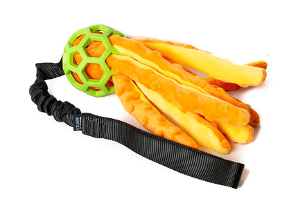 Bungee Octopus Green S
