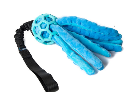 Bungee Octopus Blue S