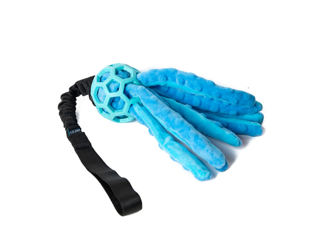 Bungee Octopus Blue S