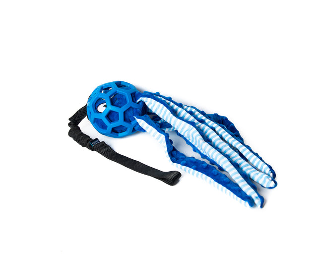 Bungee Octopus Blue M