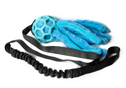 Chaser Octopus Blue S