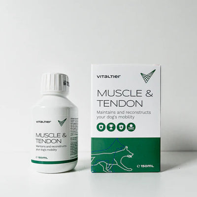 Vitaltier Muscle &amp; Tendon