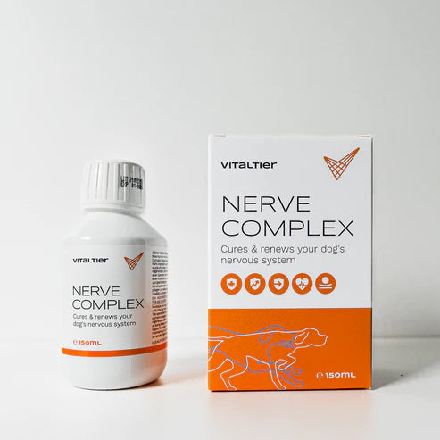 Vitaltier Nerve Complex