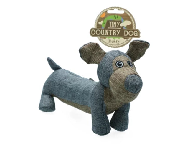 Country Dog Tiny Daisy