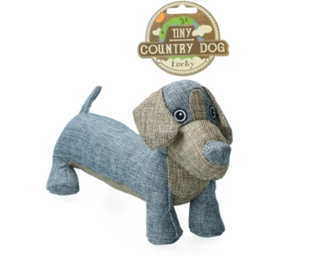 Country Dog Tiny Lucky