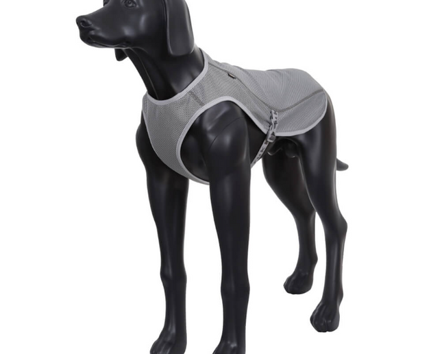 Rukka Pets Cooling Vest
