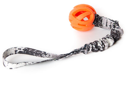 Bungee Zebra - Fetch