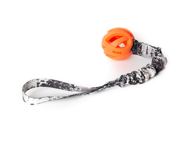 Bungee Zebra - Fetch