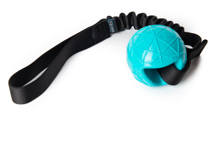 Bungee Moby Black Turquoise
