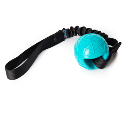 Collection image for: Dog toys