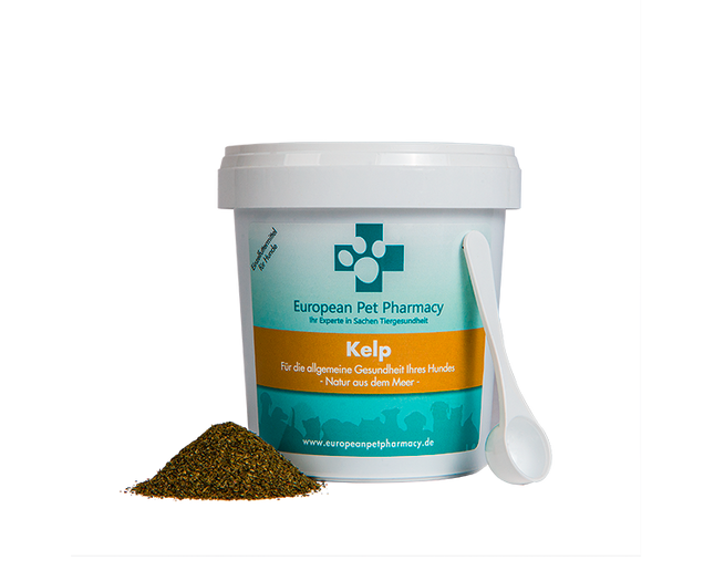 Kelp